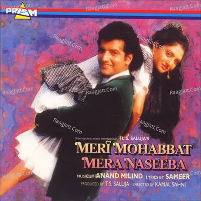 Meri Mohabbat Mera Naseeba