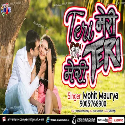 Teri Meri Meri Teri Cover