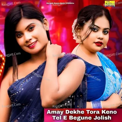 Amay Dekhe Tora Keno Tel E Begune Jolish Cover