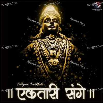 Satyam Parkhe
