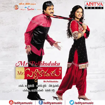 Mr Pellikoduku Poster