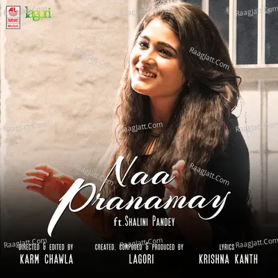 Naa Pranamay