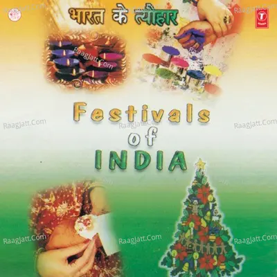 Festivals Of India Poster
