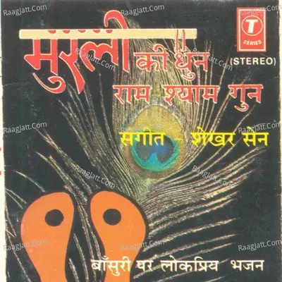 Ram Shyam Gun Gaan - Spiritual Synergy - Ronu Majumdar
