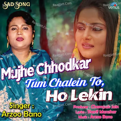 Mujhe Chhodkar Tum Chalein To Ho Lekin Cover