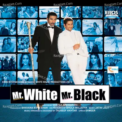 Mr. White Mr. Black Poster