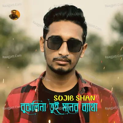 Bujhlina Tui Moner Betha Cover