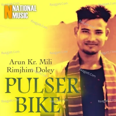Pulser Bike - Single