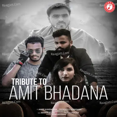 Tribute To Amit Bhadana Cover