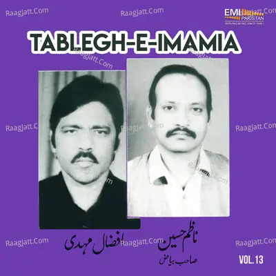 Tablegh-E-Imamia, Vol. 13 - 