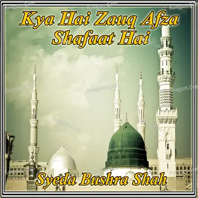 Kya Hai Zauq Afza Shafaat Hai