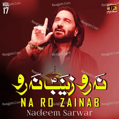 Na Ro Zainab, Vol. 17 Poster