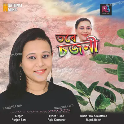 Tore Sajani - Single Cover