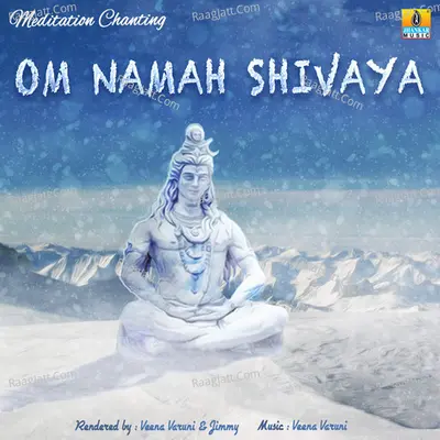 Om Namah Shivaya