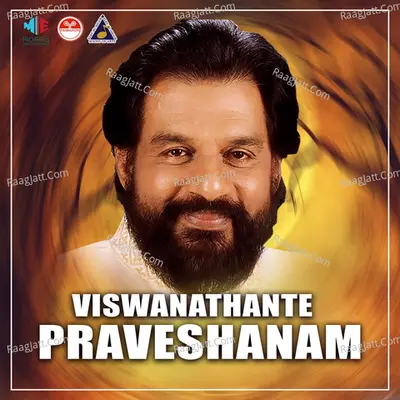 Viswanathante Praveshanam (Original Motion Picture Soundtrack) - Ilaya ganga