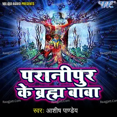 Paranipur Ke Baraham Baba Poster