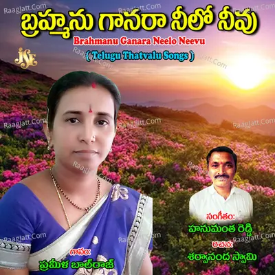 Brahmanu Ganara Neelo Neevu