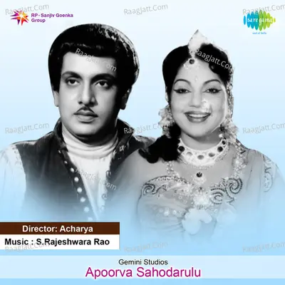 Apoorva Sahodarulu Poster