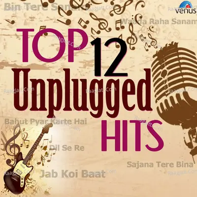 Top 12 Unplugged Hits - Various Artists