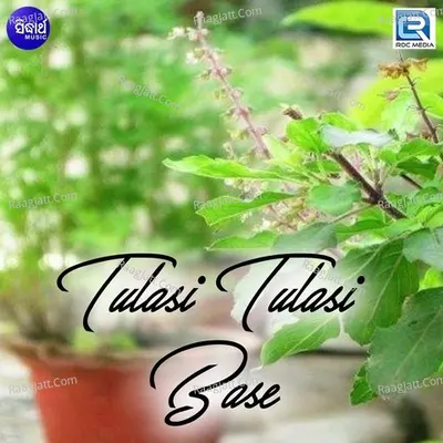 Tulasi Tulasi Base Cover