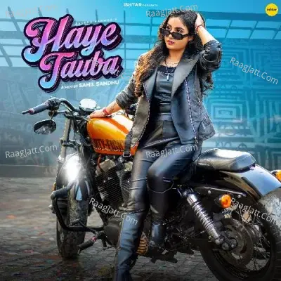 Haye Tauba