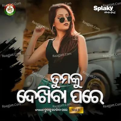 Tumaku Dekhiba Pare Vol 3 Poster