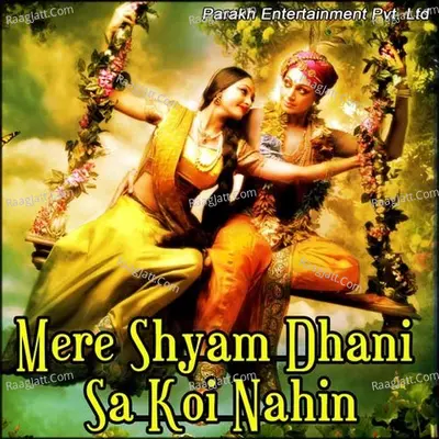Mere Shyam Dhani Sa Koi Nahin Poster