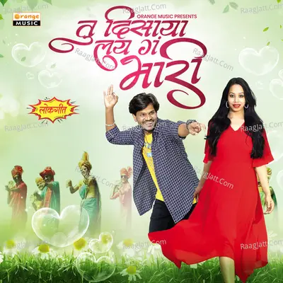 Tu Disaya Lay G Bhari Cover