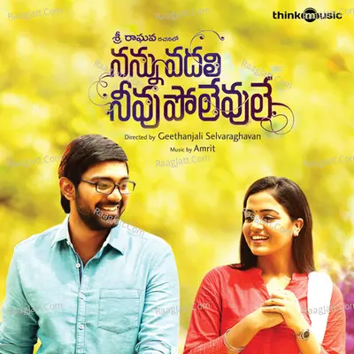 Nannu Vadali Neevu Polevule Poster