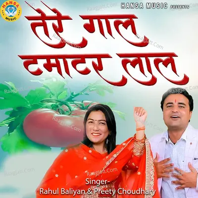 Tere Gaal Tamatar Lal Cover