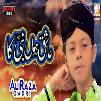 Main Tou Aashiq Hun Nabi Ka - Single