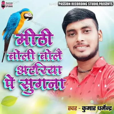 Mithi Boli Bolai Atariya Pe Sugna Cover