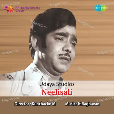 Neelisali Poster