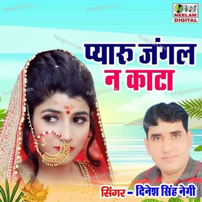 Pyaru Jangal Na Kata Cover
