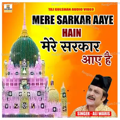 Ali Waris Image