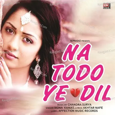 Na Todo Ye Dil Cover