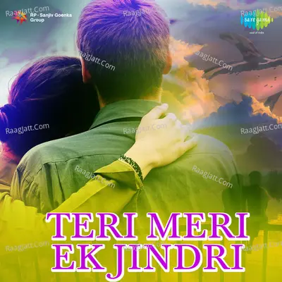Teri Meri Ek Jindri Poster