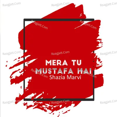 Mera Tu Mustafa Hai Cover
