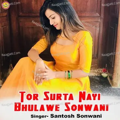 Tor Surta Nayi Bhulawe Sonwani Cover