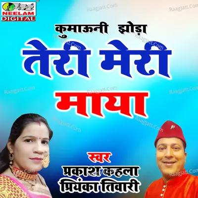 Teri Meri Maya Cover