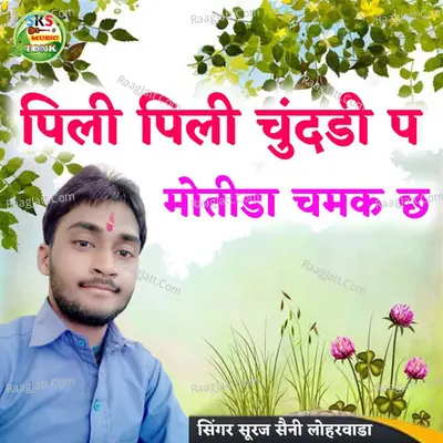 Pili Pili Chundadi P Motida Chamak Chh Cover