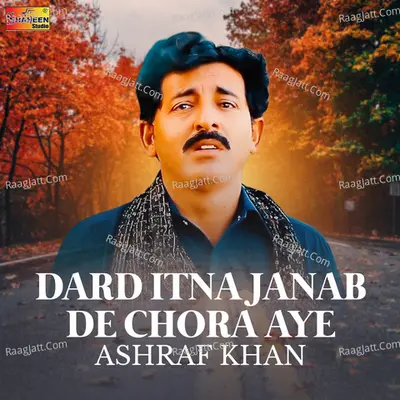 Dard Itna Janab De Chora Aye - Single Cover