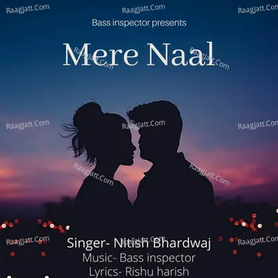 Nitish Bhardwaj Image