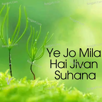 Ye Jo Mila Hai Jivan Suhana Cover