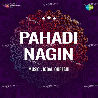 Pahadi Nagin Poster