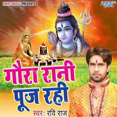 Ravi Raj Image