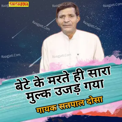 Bete ke marte hi sara mulk ujad gaya Cover