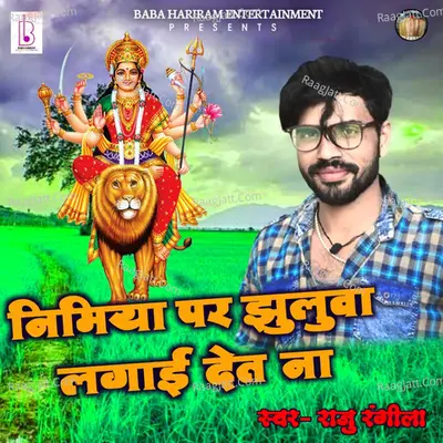 Nimiya Par Jhluwa Lgaee Deta Na Cover