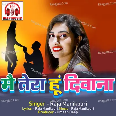 Main Tera Hu Diwana (Hindi Song)