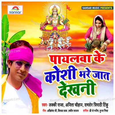 Payalwa Ke Kosi Bhare Jaat Dekhani Poster